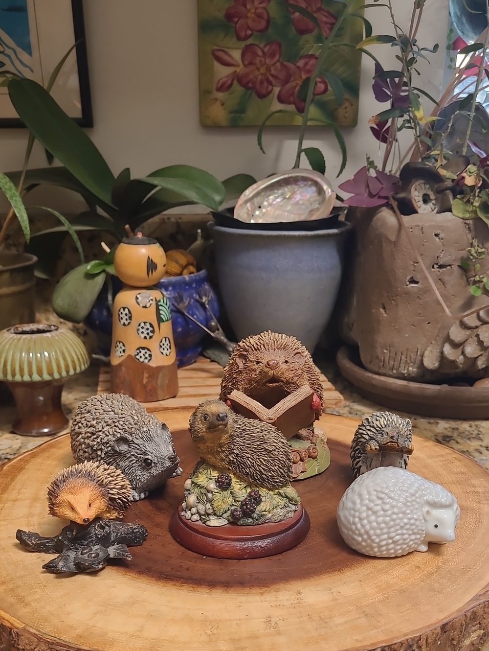 Hedgehog Collection